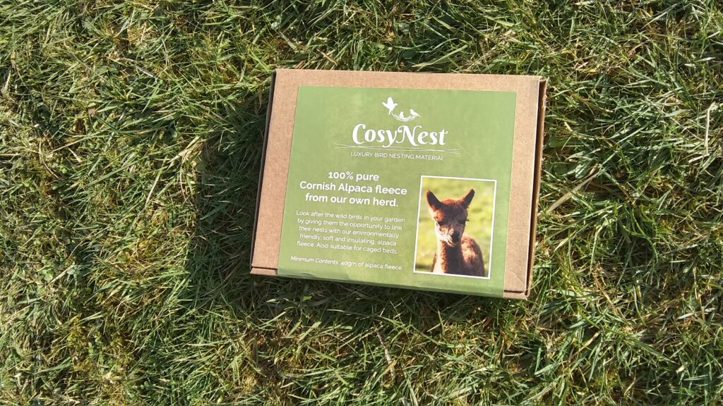 cosynest2